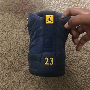Jordan retro 12
